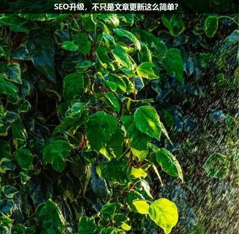 SEO升級，不只是文章更新這么簡單？