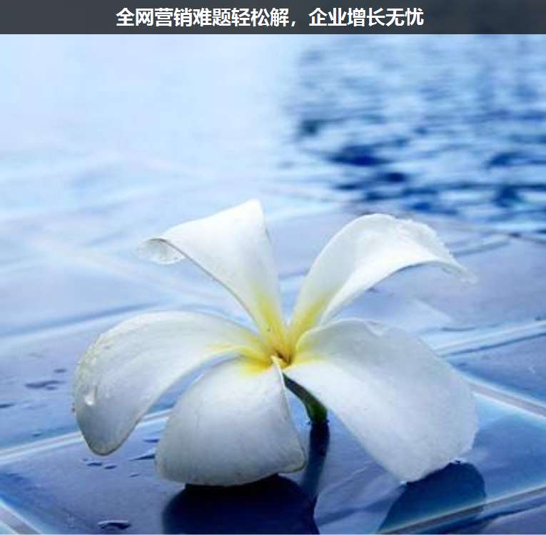 全網營銷難題輕松解，企業增長無憂